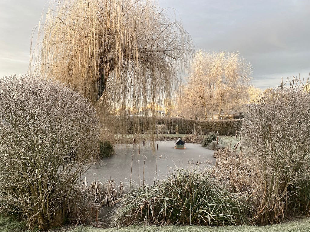 Pond at Willow Park in Winter