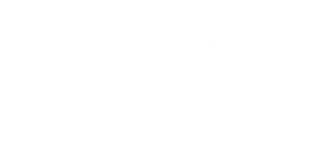 Willow Park Luxury Lodges Logo